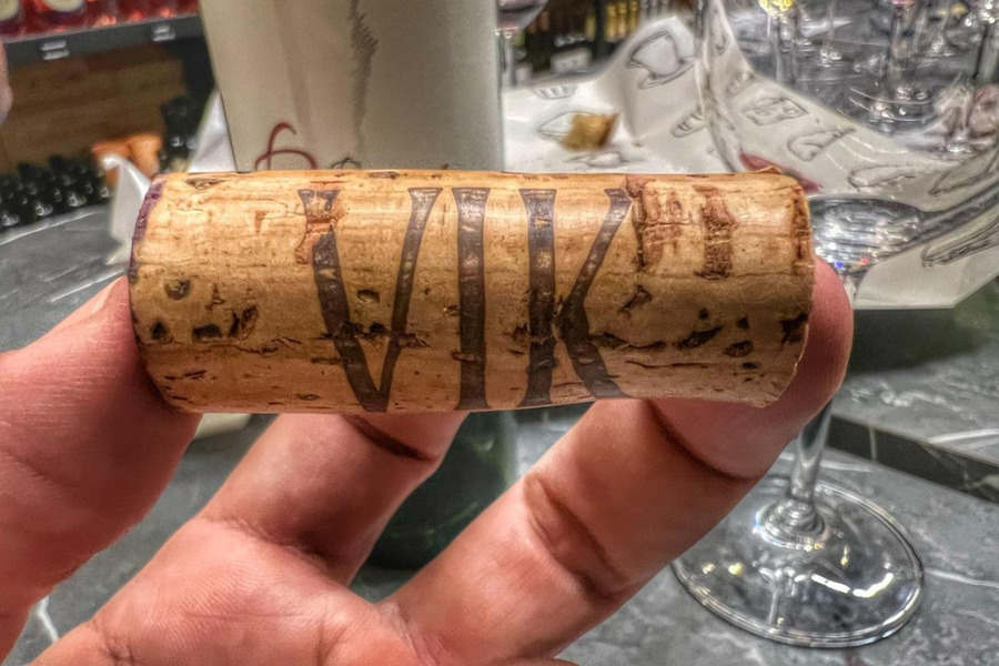 A Jornada de Vanda Mendes no Mundo do Vinho